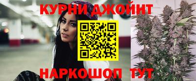 прущие крисы Камышлов