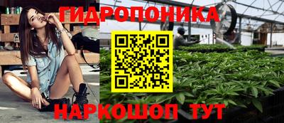 прущие крисы Камышлов