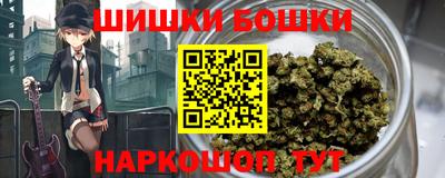 сатива Кандалакша