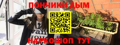 прущие крисы Камышлов