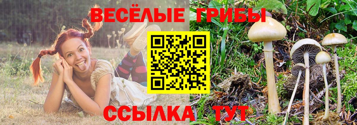 Псилоцибиновые грибы прущие грибы Барабинск