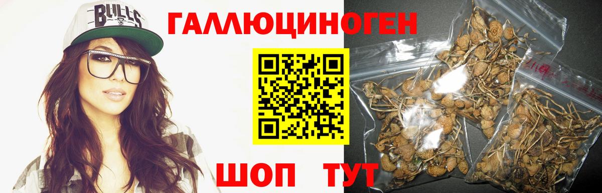 Барабинск  Псилоцибиновые грибы ЛСД  наркота  Вход с VPN 